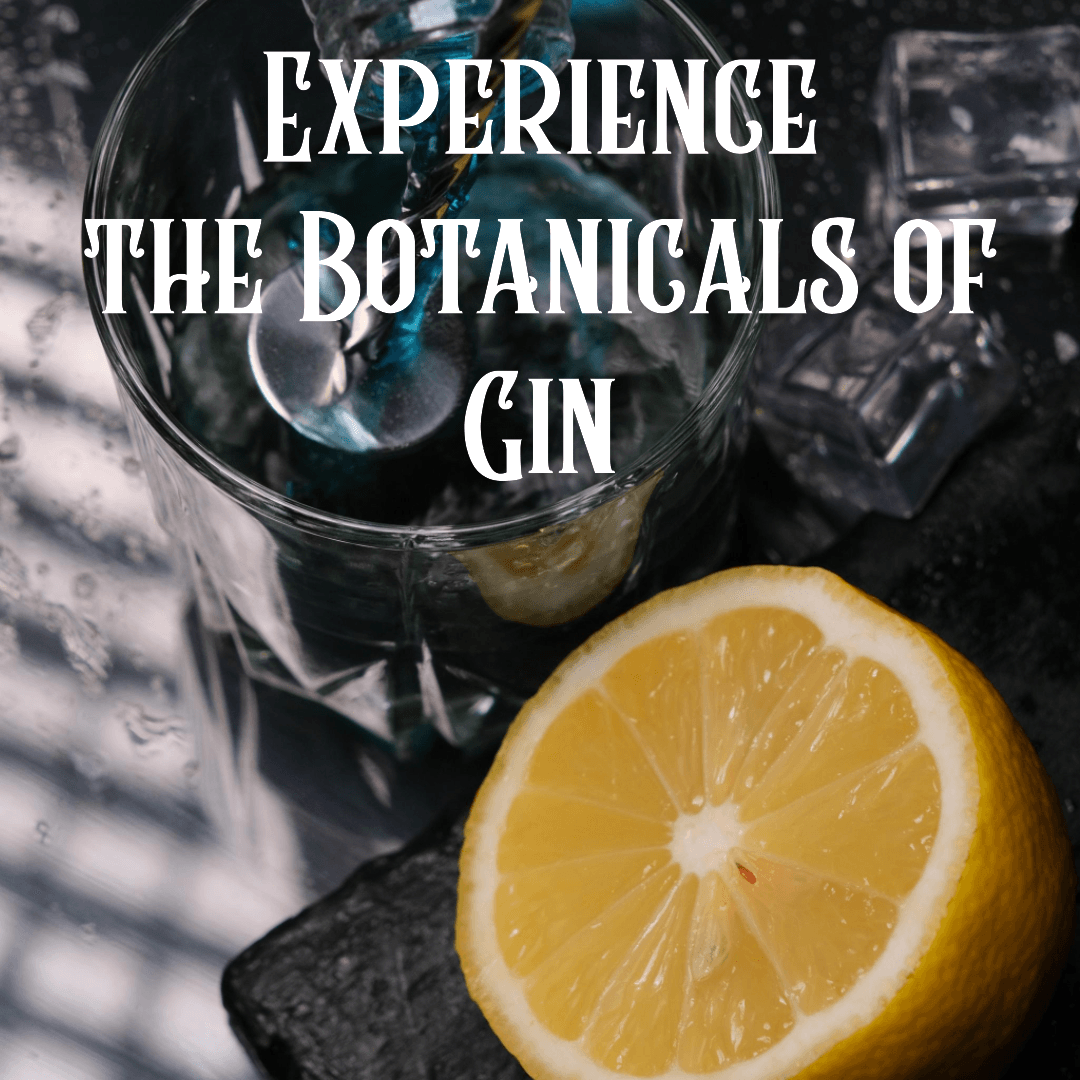 Gin Experience - Del Lama Distillery